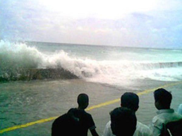 വമ്പൻ മത്സ്യങ്ങൾ