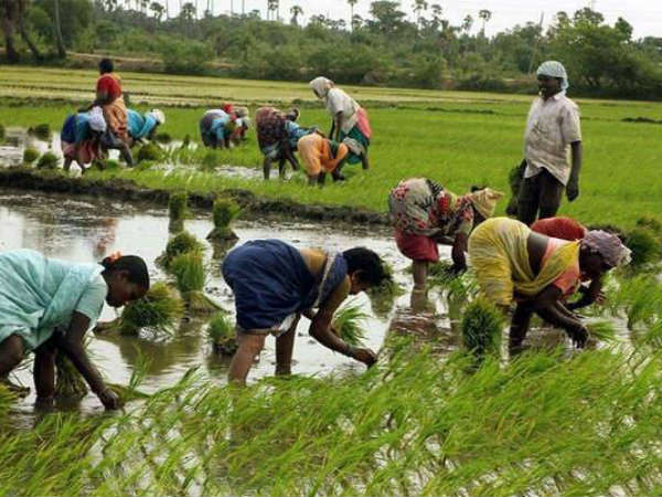 കാര്ഷികം