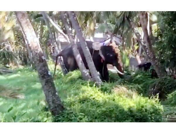 ഒരു കണ്ണ് കാഴ്ച്ചയില്ലാത്തതാണ്