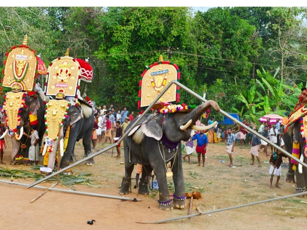 വിയ്യൂരില് ആനയിടഞ്ഞ് പാപ്പാനെ കൊലപ്പെടുത്തി