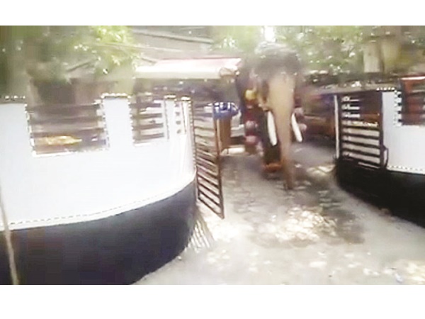 തെക്കേഗോപുര നട തള്ളിത്തുറക്കുന്നത് രാമചന്ദ്രനാണ്.