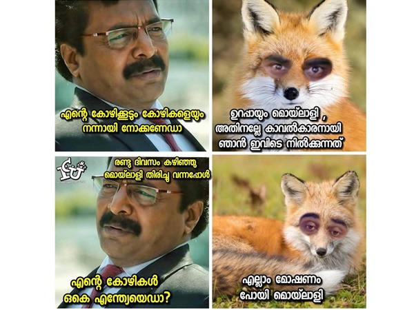 കോഴിയെ നോക്കാന് കുറുക്കന്