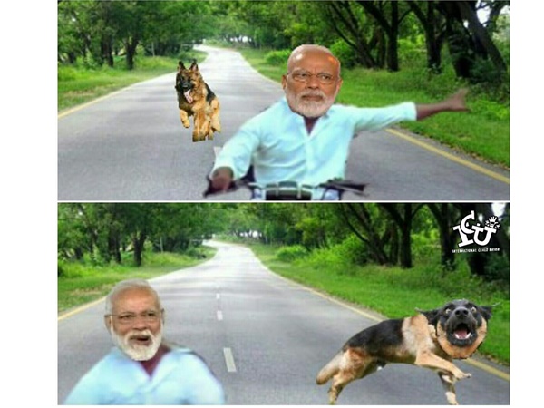 നായ പുറകെ വരുമ്പോള്