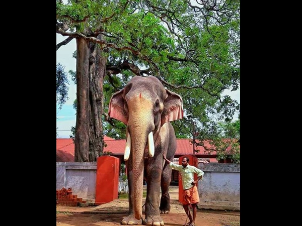 വ്യത്യസ്ത അഭിപ്രായമില്ല