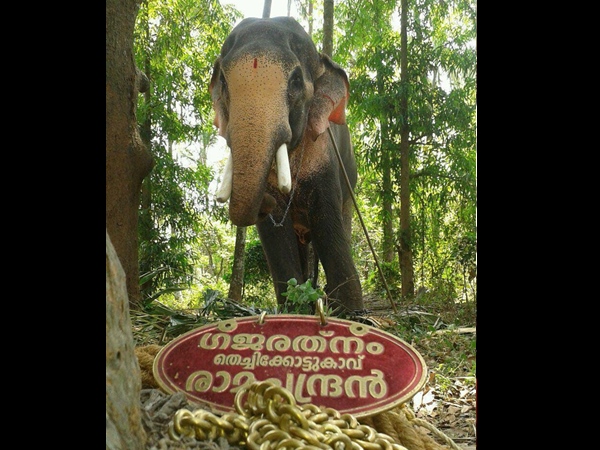 കഠിനമായി