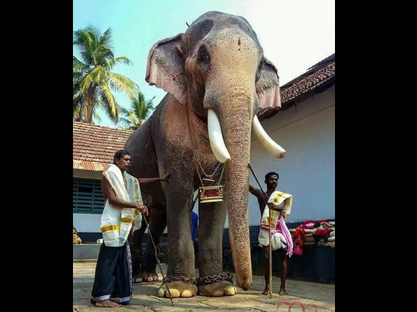 ഏറ്റവുമൊടുവില്