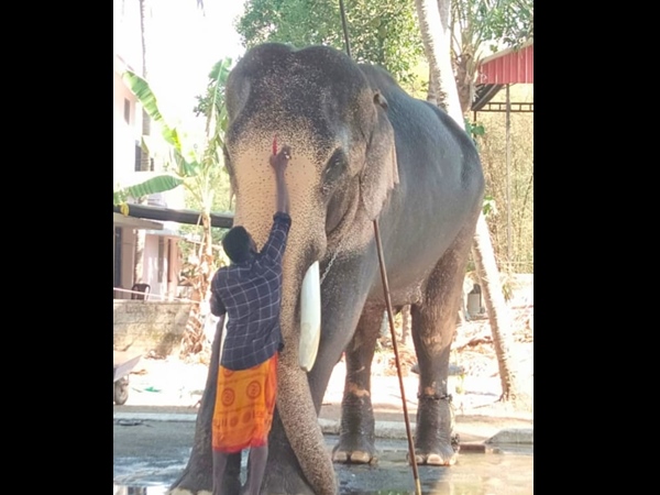 എഴുന്നെള്ളിക്കുന്നത് അഭികാമ്യമല്ല