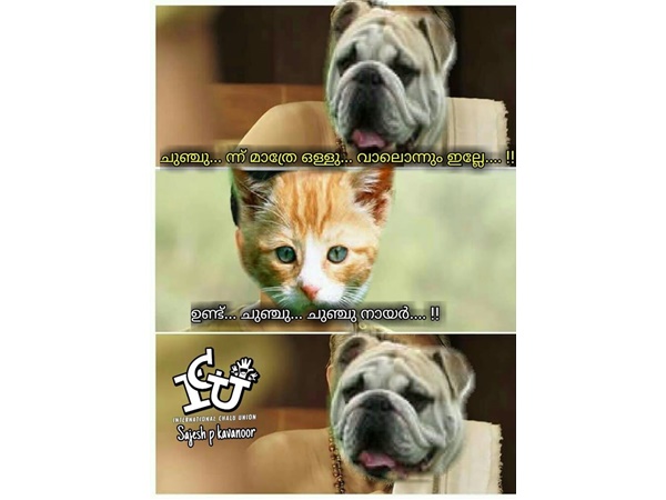 വാലുണ്ടല്ലോ...