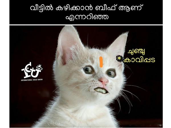 ചുഞ്ചു കാവിപ്പട