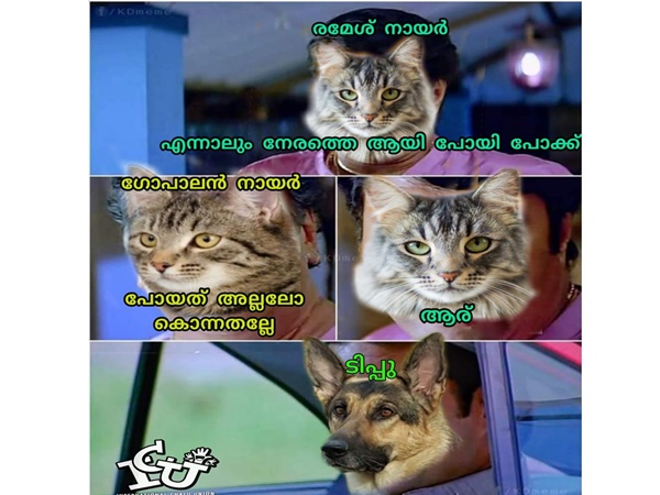 പോയതല്ലല്ലോ... കൊന്നതല്ലേ