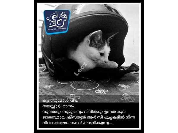 വിവാഹ പരസ്യം