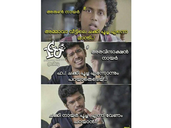ചക്കി നായര് പൂച്ച!