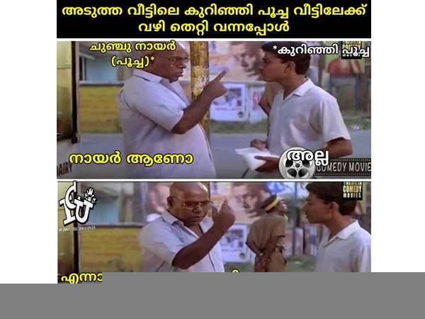 കീഴ്ജാതിപ്പൂച്ചകള്