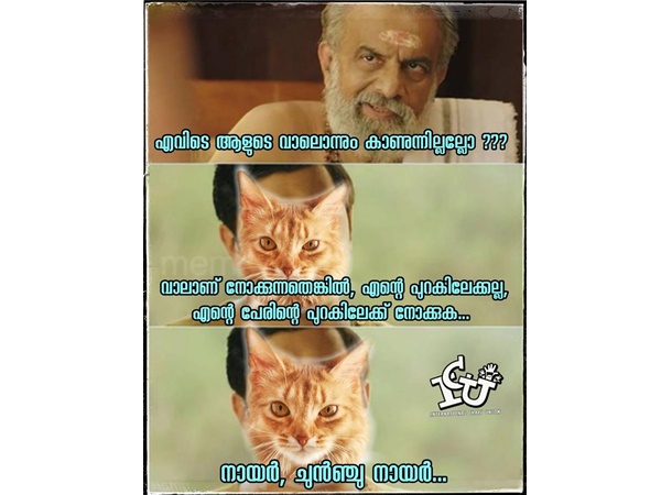 വാലാണ് നോക്കുന്നതെങ്കില്