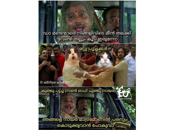 നായര് മാട്രിമോണി