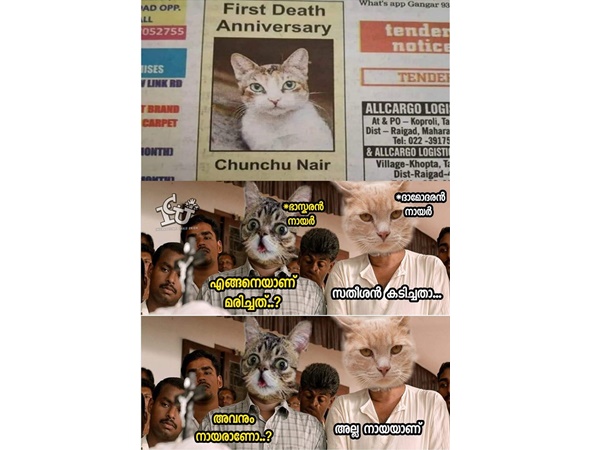 നായരല്ല, നായ ആണെന്ന്...