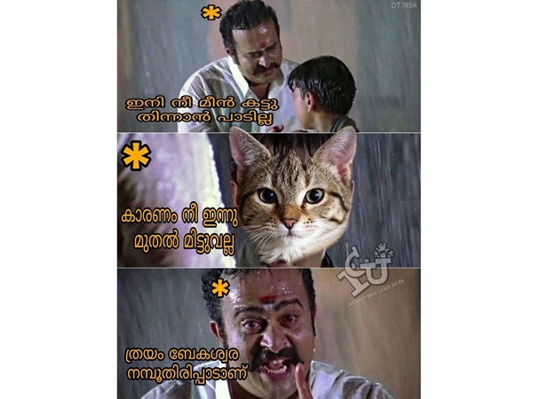 നമ്പൂതിരിപ്പാട്