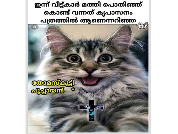 കൃപാസനത്തിലാണെങ്കില് പൊളിച്ചു