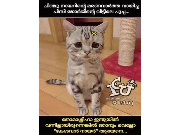 തോമാശ്ലീഹ വന്നില്ലായിരുന്നെങ്കില്