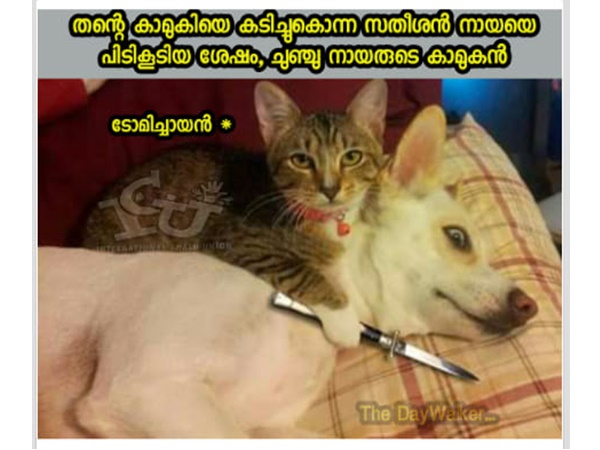 പകരം ഞങ്ങള് വീട്ടിയിരിക്കും