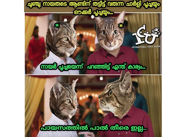 നായര് പൂച്ചയെന്ന് പറഞ്ഞിട്ടെന്താ...