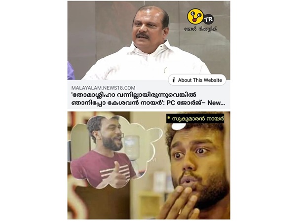 സുകുമാരന് നായര്
