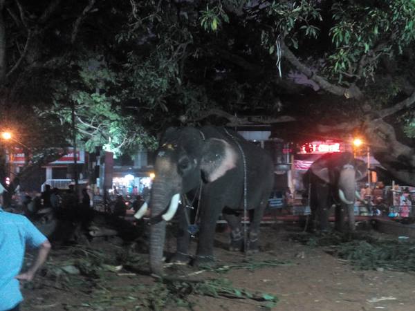 ആദ്യം ദേവീദാസന് തിടമ്പേറ്റി