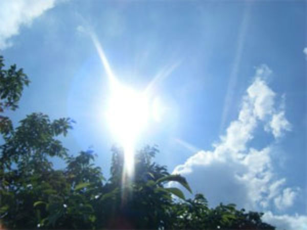 ഷിംലയിലും ചൂട്