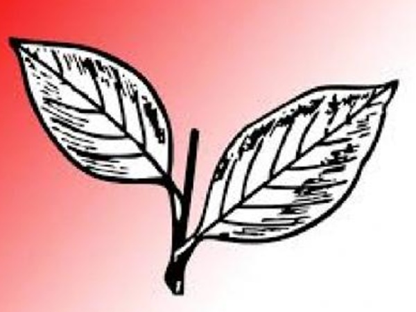 ഒറ്റപ്പാര്ട്ടിയായി നില്ക്കണം