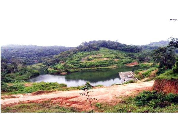 ഹൈക്കോടതി ഉത്തരവ്