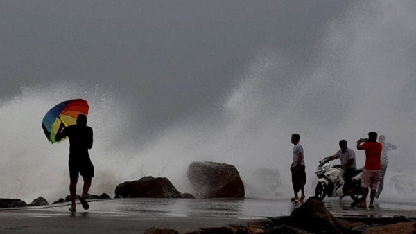 കൃഷികൾക്ക് വ്യാപക നഷ്ടം