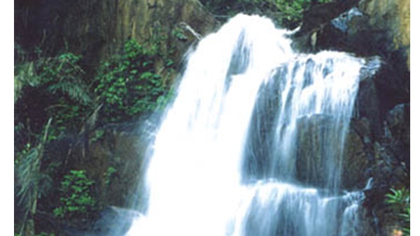 palchuram palchuram