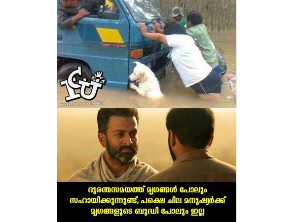 മൃഗങ്ങള് പോലും