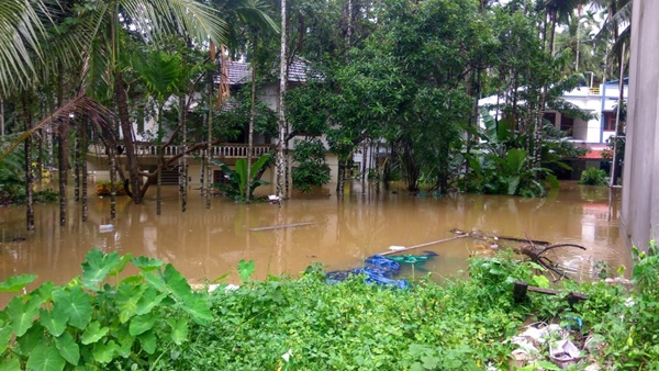 പല സ്ഥലങ്ങളിലും വൈദ്യുതി തടസ്സം