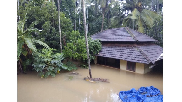 വല്ല കണക്കും കയ്യുമുണ്ടോ?