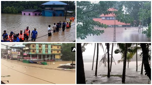 എല്ലാം അവഗണിക്കപ്പെട്ടു