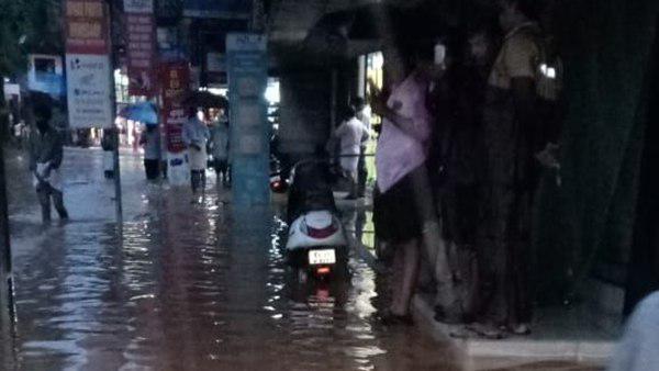 പരിസ്ഥിതി നാശം
