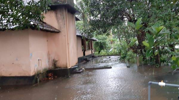 42 മരണം