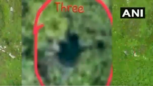 പരിശീല ക്ലാസുകള്