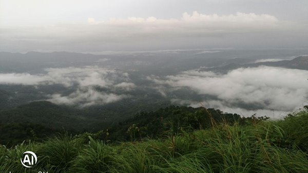 വൻ അഴിമതി