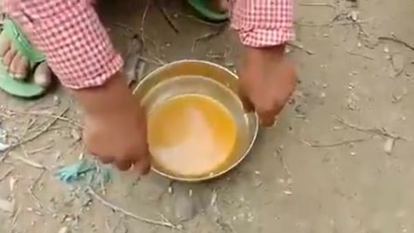 ചോറും സൊയാബീനും