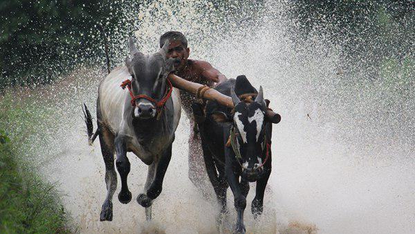 നവംബര് 1 ന്