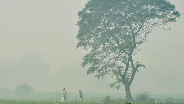 ആയുസ് വർദ്ധിക്കും