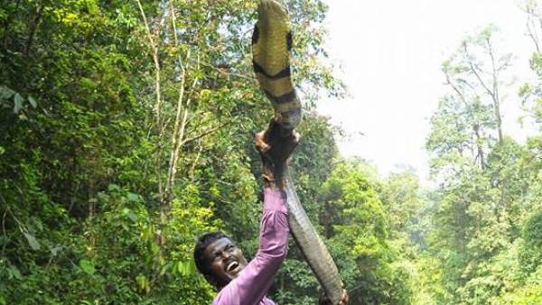 വ്യക്തിഹത്യയല്ല