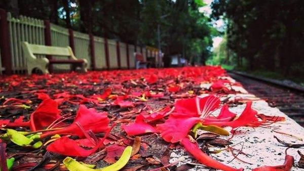 ബ്രിട്ടീഷുകാര് പണിതത്