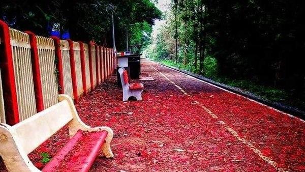 യാത്ര ചെയ്യണം ഇതുവഴി