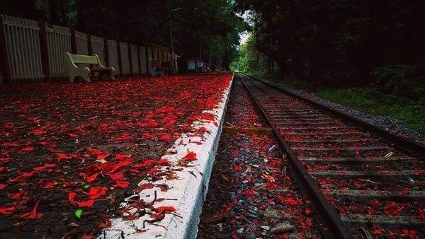മേലാറ്റൂരുകാര് പറയുന്നു