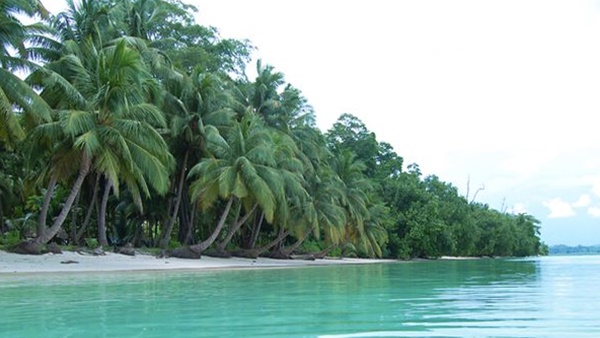 ബോധവത്കരണം