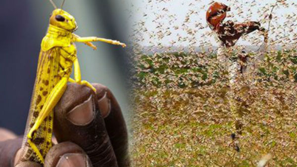 ഉപകരണങ്ങൾക്ക് തകരാർ