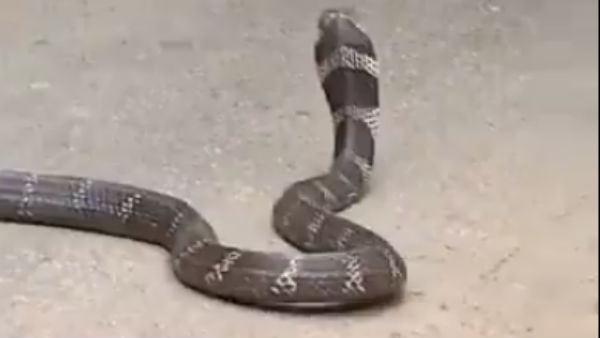 നടന്നത് ഞെട്ടിട്ടും
